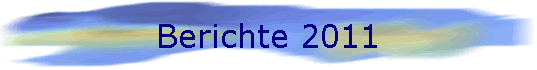 Berichte 2011
