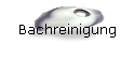 Bachreinigung